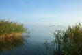 Misty morning on the lake. Dawn in the fog. Reed and plants in the foreground. Fisherman`s boat in the fog.