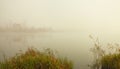 Misty morning on the lake. Forest reflected in the calm water. Reed in the foreground. Royalty Free Stock Photo