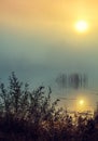 Misty morning. Lake at sunrise Royalty Free Stock Photo