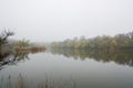 Misty Morning Lake. A thick early morning fog on this lake Royalty Free Stock Photo