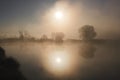 Misty morning at the lake Royalty Free Stock Photo