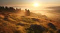 Misty morning landscape with rolling hills, forest, and golden sunrise, rock and grassland