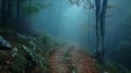 a misty morning landscape, where a footpath disappears into the fog, winding its way through a forest