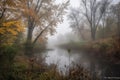 misty morning, with leaves starting to fall from the trees