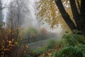 misty morning, with leaves starting to fall from the trees