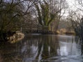 Misty morning light on the River Meon near Exton, South Downs National Park, Hampshire, UK