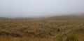 Misty morning through Lindis pass, New Zealand Royalty Free Stock Photo