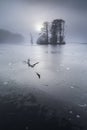 Misty morning on Loch Mallachie in the Cairngorms National Park of Scotland.