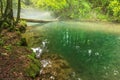 Misty morning and misty river in Beusnita National Park,Romania