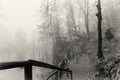Misty morning in the mounains. Misty lake. Royalty Free Stock Photo