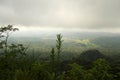 Misty morning in the mountains. Gloomy sky over the forest. Green nature landscape background. Peak view of the hill backgrounds Royalty Free Stock Photo