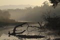 Misty morning on nepali jungle, Nepal Royalty Free Stock Photo