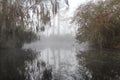 Misty Morning - Okefenokee Swamp