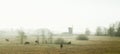 Misty morning with  old windmill Royalty Free Stock Photo