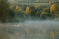 Misty morning over the lake Royalty Free Stock Photo