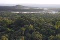 Misty morning over a rainforest.