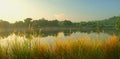 Misty Morning Panorama