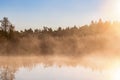 Misty morning at a reedbed at a lakeshore in autumn Royalty Free Stock Photo