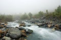 Misty morning river Royalty Free Stock Photo