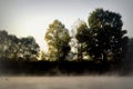 Misty morning on the river Royalty Free Stock Photo