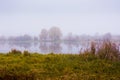 Misty morning on the river bank. Trees are reflected in the rive Royalty Free Stock Photo