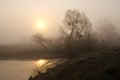 Misty morning on the river. Dawn