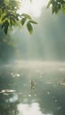 Misty Morning River Sunlight Through Leaves Royalty Free Stock Photo