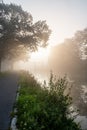 Misty Morning by the Riverside Path Royalty Free Stock Photo