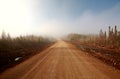 Misty Morning Road in Spring Saskatchewan