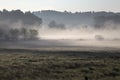 Misty morning, rural Ohio