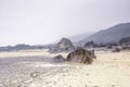 Misty morning on sandy beach with red rocks.