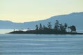 Gulf Island National Park, Shorepines on Fane Island on a Misty Morning, British Columbia, Canada Royalty Free Stock Photo