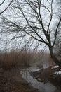 Misty morning scenery at winter