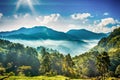 misty morning in strawberry farm at doi angkhang mountain, chiangmai : thailand Royalty Free Stock Photo