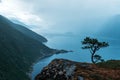 Misty morning on Tingvollfjorden flord