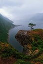 Misty morning on Tingvollfjorden flord