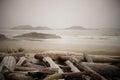 Islands are scattered the horizon on a driftwood-lined beach on a misty morning near Tofino, Vancouver Island, British Columbia,