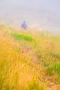 Misty morning tracking, one stranger walking across colourful alpine field in fog. Isolation in nature concept. Idyllic