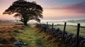 Misty Morning: Traditional British Landscape With Stone Fence And Lone Tree Royalty Free Stock Photo