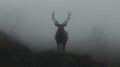 Misty mountain deer silhouette Royalty Free Stock Photo