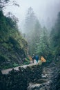 Misty mountain forest