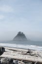 Misty Mountain with Forest and driftwood on the seashore at Rialto Beach. Olympic National Park, WA