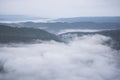 Misty mountain forest landscape in the morning fog and forest tree view on top - Foggy morning mist in valley beautiful in