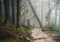 Misty mountain forest Royalty Free Stock Photo