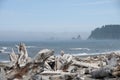 Misty Mountain Island with Driftwood at Rialto Beach. Olympic National Park, WA Royalty Free Stock Photo