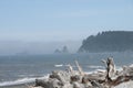 Misty Mountain Island with Driftwood at Rialto Beach. Olympic National Park, WA