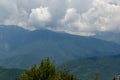 Misty mountain landscape with fir forest. Beautiful landscape with mountain view, cable car.