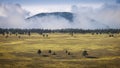 Misty Mountain Landscape