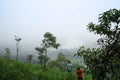 Misty mountain with natural background