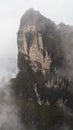 A Mountain with trees covered by mist